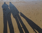 Shadows on the Beach photograph